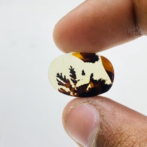 Riesige Größe !!! Dendritenachat Birne Cabochon, Lose Edelstein, Dendritenachat für die Herstellung von Schmuck Pendent Größe 19 x 13 MM