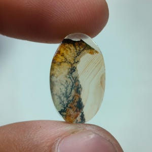Piedra de diseño. Cabujón de ágata dendrítica, piedra preciosa suelta, ágata dendrítica para joyería. Tamaño: 19 x 12 mm.
