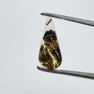 Riesige Größe !!! Dendritenachat Cabochon, Lose Edelstein, Dendritenachat für die Herstellung von Schmuck Pendent Größe 20 x 9 MM