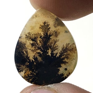 Erstaunlicher Design Achat !!! NATÜRLICHER Dendritischer Achat Oval Cabochon, loser Edelstein, Dendritischer Achat für die Herstellung von Schmuck Pendent.