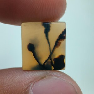 Designersteen !!! Dendritische agaat fancy cabochon, losse edelsteen, dendritische agaat voor het maken van hangers, maat 13 x 12 mm