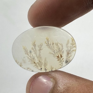 Riesige Größe !!! Dendritenachat Cabochon, Lose Edelstein, Dendritenachat für die Herstellung von Schmuck Pendent Größe 23 x 22 MM