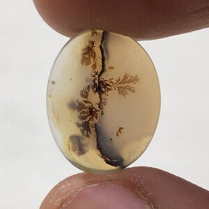 Erstaunlicher Design Achat !!! NATÜRLICHER Dendritischer Achat Oval Cabochon, loser Edelstein, Dendritischer Achat für die Herstellung von Schmuck Pendent.