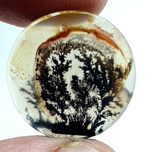 Wunderschön Achat !!! Dendritenachat Oval Cabochon, Malerischer Achat Loser Edelstein, Dendritenachat für die Herstellung von Schmuck Pendent Größe 19 x 19 MM