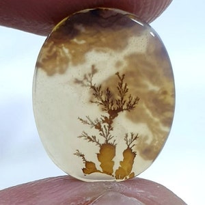 Wunderschöner Designer Dendriten Achat !!! NATÜRLICHER Dendritischer Achat Cabochon, loser Edelstein, 13 x 16 mm Dendritischer Achat zur Herstellung von Schmuckanhängern.