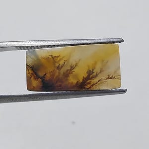 Pietra di design!!! Cabochon di agata dendritica, pietra preziosa sfusa, agata dendritica per realizzare pendenti di gioielli, dimensioni 18 x 9 mm.