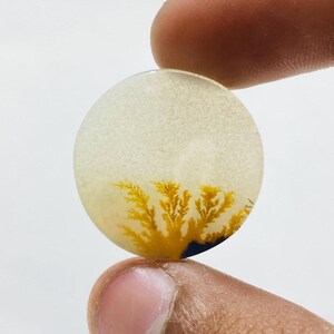 Riesige Größe !!! Dendritenachat-Birne Cabochon, lose Edelstein, dendritische Achat für die Herstellung von Schmuck Pendent Größe 24 x 24 mm