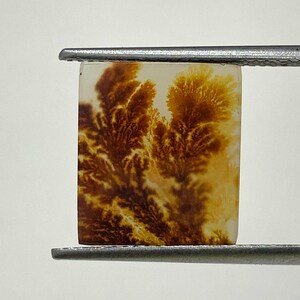 100% Natürlich Landschaftlich Achat !!! Baumachat, Dendritenquarz, Dendritenachat, Malerischer Achat-Edelstein, Dendritenachatstein, Größe 14 x 12 MM