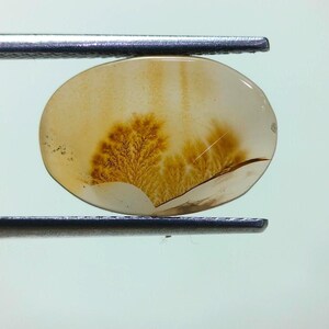 Piedra de diseño. Cabujón de ágata dendrítica de fantasía, piedra preciosa suelta, ágata dendrítica para hacer colgantes de joyería. Tamaño: 14 x 10 mm.