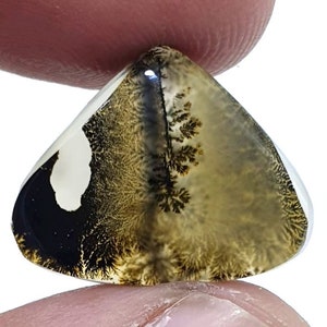 Wunderschöner Designer Dendriten Achat !!! NATÜRLICHER Dendritischer Achat Cabochon, loser Edelstein, 15 x 20 mm Dendritischer Achat zur Herstellung von Schmuckanhängern.