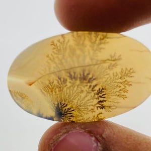 Riesige Größe !!! Dendritenachat Cabochon, Lose Edelstein, Dendritenachat für die Herstellung von Schmuck Pendent Größe 30 x 17 MM