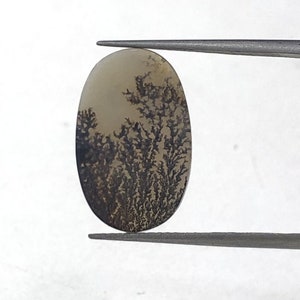 Natürlicher Achat !!! Dendritenachat Cabochon, lose Edelstein, dendritischen Achat für die Herstellung von Schmuck Pendent