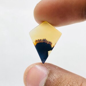 Riesige Größe !!! Dendritenachat-Birne Cabochon, lose Edelstein, dendritische Achat für die Herstellung von Schmuck Pendent Größe 20 x 15 mm