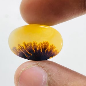 Riesige Größe !!! Dendritenachat Birne Cabochon, Lose Edelstein, Dendritenachat für die Herstellung von Schmuck Pendent Größe 19 x 13 MM
