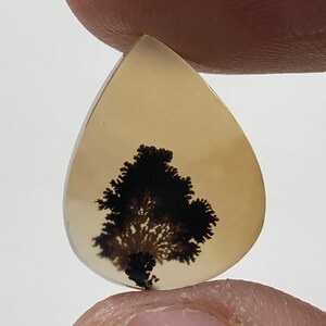 Erstaunlicher Design Achat !!! NATÜRLICHER Dendritischer Achat Oval Cabochon, loser Edelstein, Dendritischer Achat für die Herstellung von Schmuck Pendent.