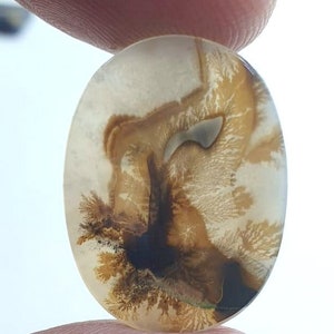 Wunderschöner Designer Dendriten Achat !!!  NATÜRLICHER Dendritischer Achat Cabochon, loser Edelstein, 18 x 24 mm Dendritischer Achat zur Herstellung von Schmuckanhängern.