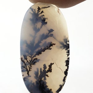 Erstaunlicher Design Achat !!! NATÜRLICHER Dendritischer Achat Oval Cabochon, loser Edelstein, Dendritischer Achat für die Herstellung von Schmuck Pendent.