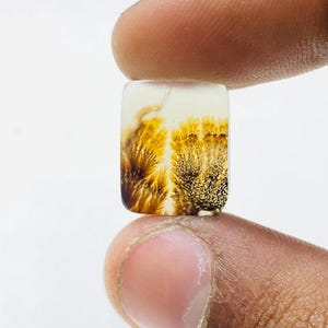 Riesige Größe !!! Dendritenachat-Birne Cabochon, lose Edelstein, dendritische Achat für die Herstellung von Schmuck Pendent Größe 12 x 15 mm