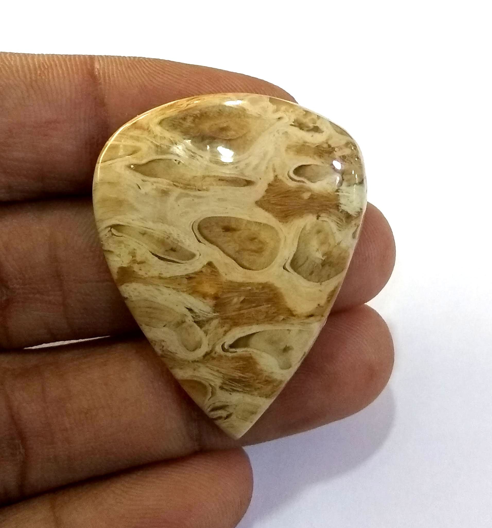 Natural Fossil Jasper Fancy Shape Cabochon Loose Gemstone Etsy