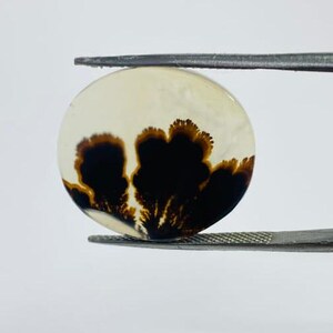 Riesige Größe !!! Dendritenachat Cabochon, Lose Edelstein, Dendritenachat für die Herstellung von Schmuck Pendent Größe 27 x 20 MM