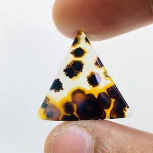 Riesige Größe !!! Dendritenachat-Birne Cabochon, lose Edelstein, dendritische Achat für die Herstellung von Schmuck Pendent Größe 20 x 21 MM