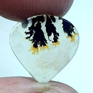 Dendrit Cabochon, Malerische Dendriten Achat Cabochon, Shazar Dendrit Edelstein, Shazar Achat Shazar Achat Cabochon