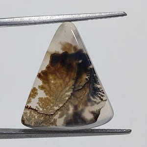 Designerstein !!! Dendritische Achat Phantasie Cabochon, lose Edelstein, dendritische Achat für die Herstellung von Schmuck Pendent Größe 19 x 15 MM