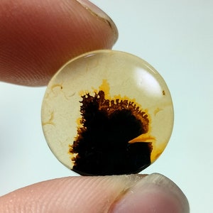 100% Natürlich Landschaftlich Achat !!! Baumachat, Dendritenquarz, Dendritenachat, Malerischer Achat-Edelstein, Dendritenachatstein, Größe 16 x 16 MM