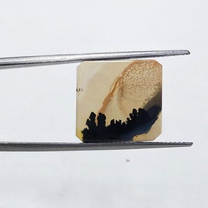 Designer Stone  !!! Dendritic Agate fancy  Cabochon, Loose Gemstone, Dendritic Agate For Making Jewelry Pendent Size 16x15 MM
