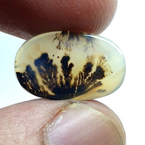Designerstein !!! Dendritenachat Oval Cabochon, Lose Edelstein, Dendritenachat für die Herstellung von Schmuck Pendent Größe 18 x 11 MM