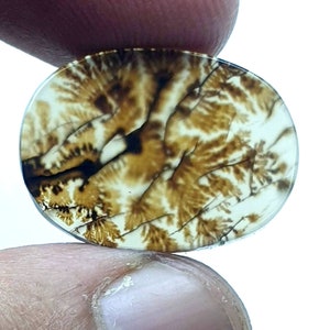 Riesige Größe !!! Dendritenachat Oval Cabochon, Lose Edelstein, Dendritenachat für die Herstellung von Schmuck Pendent Größe 22x16 MM