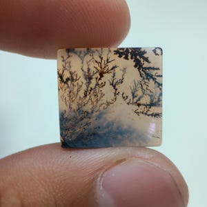 Piedra de diseño. Cabujón de ágata dendrítica de fantasía, piedra preciosa suelta, ágata dendrítica para joyería. Tamaño: 17 x 16 mm.