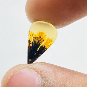 Riesige Größe !!! Dendritenachat Birne Cabochon, Lose Edelstein, Dendritenachat für die Herstellung von Schmuck Pendent Größe 13 x 8 MM