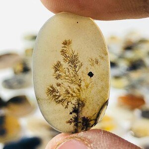 Wunderschöner Designer Dendriten Achat !!! NATÜRLICHER Dendritenachat Cabochon, loser Edelstein, 15X23 MM Dendritenachat für die Herstellung von Schmuck Pendent.