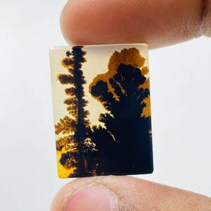 Riesige Größe !!! Dendritenachat-Birne Cabochon, lose Edelstein, dendritische Achat für die Herstellung von Schmuck Pendent Größe 24 x 18 mm