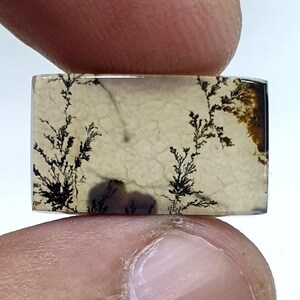 Wunderschöner Designer Dendriten Achat !!! NATÜRLICHER Dendritischer Achat Cabochon, loser Edelstein, 23 x 15 mm Dendritischer Achat zur Herstellung von Schmuckanhängern.