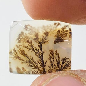 Wunderschöner Designer Dendriten Achat !!! NATÜRLICHER Dendritenachat Cabochon, loser Edelstein, 12x10 MM Dendritenachat für die Herstellung von Schmuck Pendent.