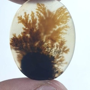 Wunderschöner Designer Dendriten Achat !!! NATÜRLICHER Dendritischer Achat Cabochon, loser Edelstein, 22 x 28 mm Dendritischer Achat zur Herstellung von Schmuckanhängern.