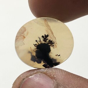 Erstaunlicher Design Achat !!! NATÜRLICHER Dendritischer Achat Oval Cabochon, loser Edelstein, Dendritischer Achat für die Herstellung von Schmuck Pendent.