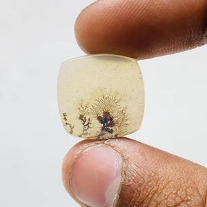 Riesige Größe !!! Dendritenachat Birne Cabochon, Lose Edelstein, Dendritenachat für die Herstellung von Schmuck Pendent Größe 17 x 17 MM