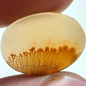 100% Natürlich Landschaftlich Achat !!! Baumachat, Dendritenquarz, Dendritenachat, Malerischer Achat-Edelstein, Dendritenachatstein, Größe 19x14 MM