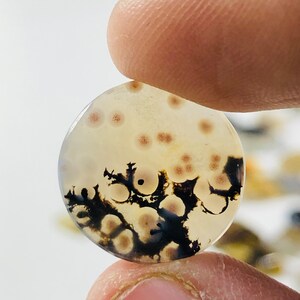 Wunderschöner Designer Dendriten Achat !!! NATÜRLICHER Dendritenachat Cabochon, loser Edelstein, 16X16 mm Dendritenachat für die Herstellung von Schmuckanhängern.