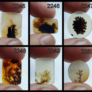 Natürlicher Achat !!! Dendritenachat Cabochon, Loser Achat Edelstein, Dendritenachat Stein, Shajri Achat, Shajri Akik Für die Herstellung von Pendent