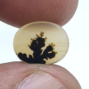Wunderschöner Designer Dendriten Achat !!! NATÜRLICHER Dendritischer Achat Cabochon, loser Edelstein, Dendritischer Achat für die Herstellung von Schmuck Pendent.