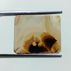 Designerstein !!! Dendritische Achat Phantasie Cabochon, lose Edelstein, dendritische Achat für die Herstellung von Schmuck Pendent Größe 16 x 13 MM