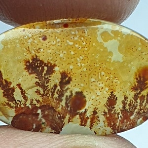 Riesige Größe !!! Dendritenachat Cabochon, Lose Edelstein, Dendritenachat für die Herstellung von Schmuck Pendent Größe 19 x 12 MM