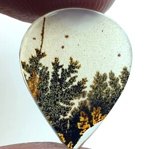 Erstaunlicher Design Achat !!! NATÜRLICHER Dendritischer Achat-Birnen-Cabochon, loser Edelstein, dendritischer Achat für die Herstellung von Schmuckanhängern.