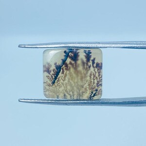 Erstaunlicher Design Achat !!! NATÜRLICHER Dendritischer Achat Rechteck Cabochon, Loser Edelstein, Dendritischer Achat für die Herstellung von Schmuck Pendent.