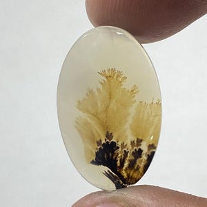 Riesige Größe !!! Dendritenachat Cabochon, lose Edelstein, dendritische Achat für die Herstellung von Schmuck Pendent Größe 23X14 MM