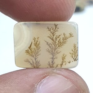 Wunderschöner Designer Dendriten Achat !!! NATÜRLICHER Dendritenachat Cabochon, loser Edelstein, 11 x 15 mm Dendritenachat für die Herstellung von Schmuck Pendent.